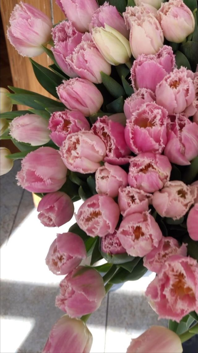 Drogie Mamy🌸W dniu Waszego święta życzymy Wam zdrowia, pogody ducha i wielu powodów do uśmiechu i pozytywnych wzruszeń 🌸🌸🌸